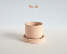 Load image into Gallery viewer, Tiny Bell Shaped Concrete Planter with Tray
