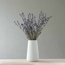 Load image into Gallery viewer, &quot;Zinni&quot; Minimalist Rough Textured Florist Vase
