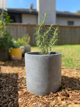 Load image into Gallery viewer, 8 Inch Handmade Concrete Planter
