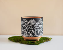 Load image into Gallery viewer, 5 Inch Terra Cotta Cylinder Mushroom Planter
